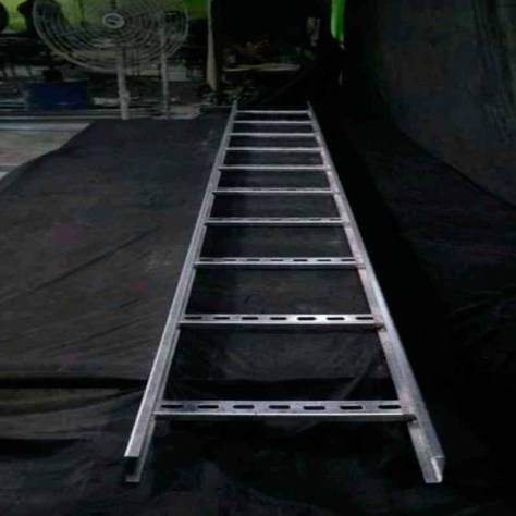 Hot Dip Gi Ladder Type Cable Tray Perforated Ladder Type Cable Tray 2 mm Thickness Galvanized Iron Manufacturers, Suppliers in Greater Noida