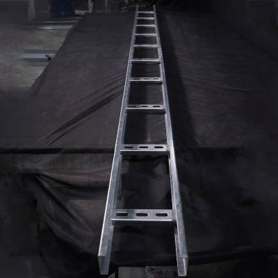 Ladder Cable Trays Manufacturers 
